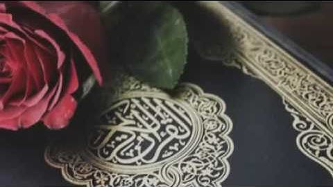 سورة الانسان الشيخ سلمان العتيبي