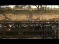 Wild Goat Muster in Australia - Jimmy's Global Harvest Episode 2 Preview - BBC Two