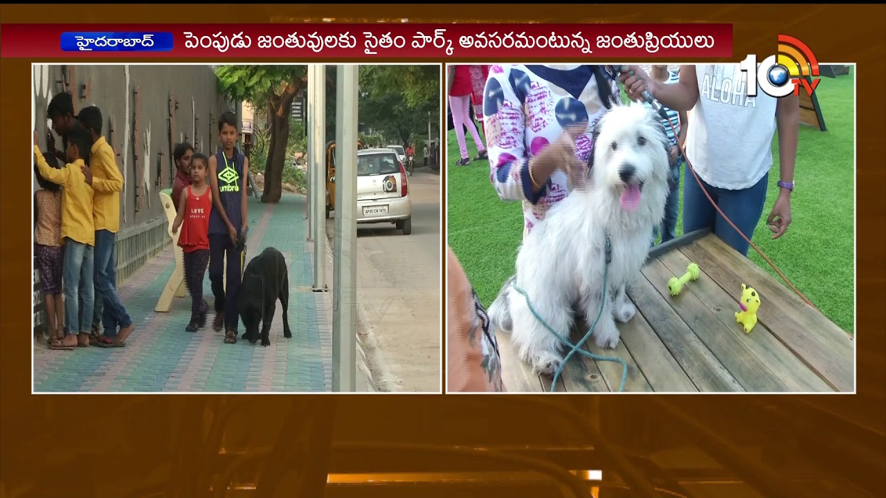 Dogs Park At Hyderabad Necklace Road Part 2 By Telugu Delite