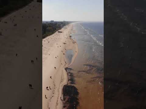 Sands Of The Baltic Ocean Amber Jam III