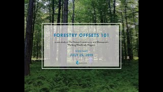 Forestry Offsets 101: A Case Study of TNC and Bluesource's Working Woodlands Program