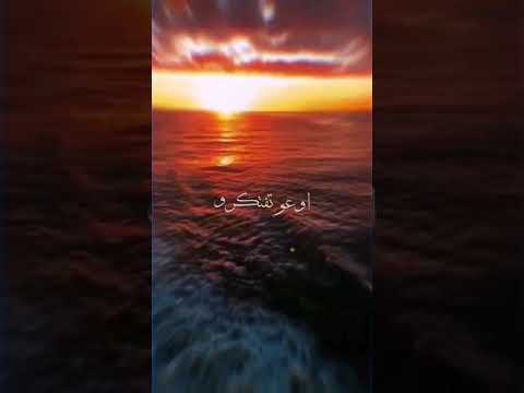 حالات واتس شكراا سلام ايوه اكتفيت حوده بندق