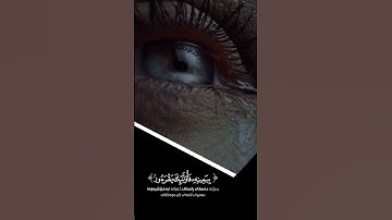 قرآن كريم القارئ: رعد الكردي || ستوريات انستجرام دينيه // فيديو قصير // راحه نفسية
