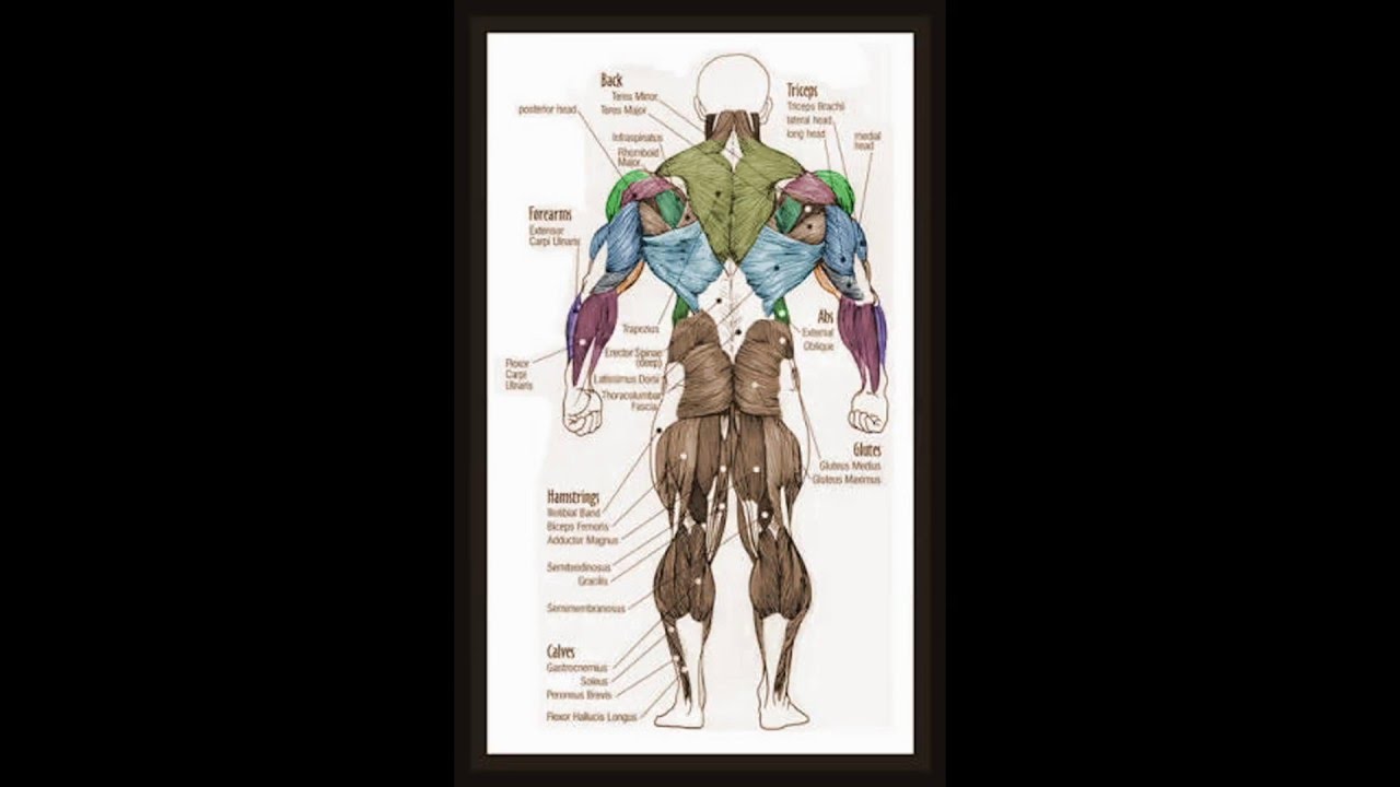 camera iphone 8 plus apk complex workouts