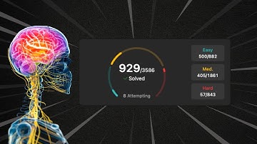 This Candidate Solved 929 LeetCode Questions