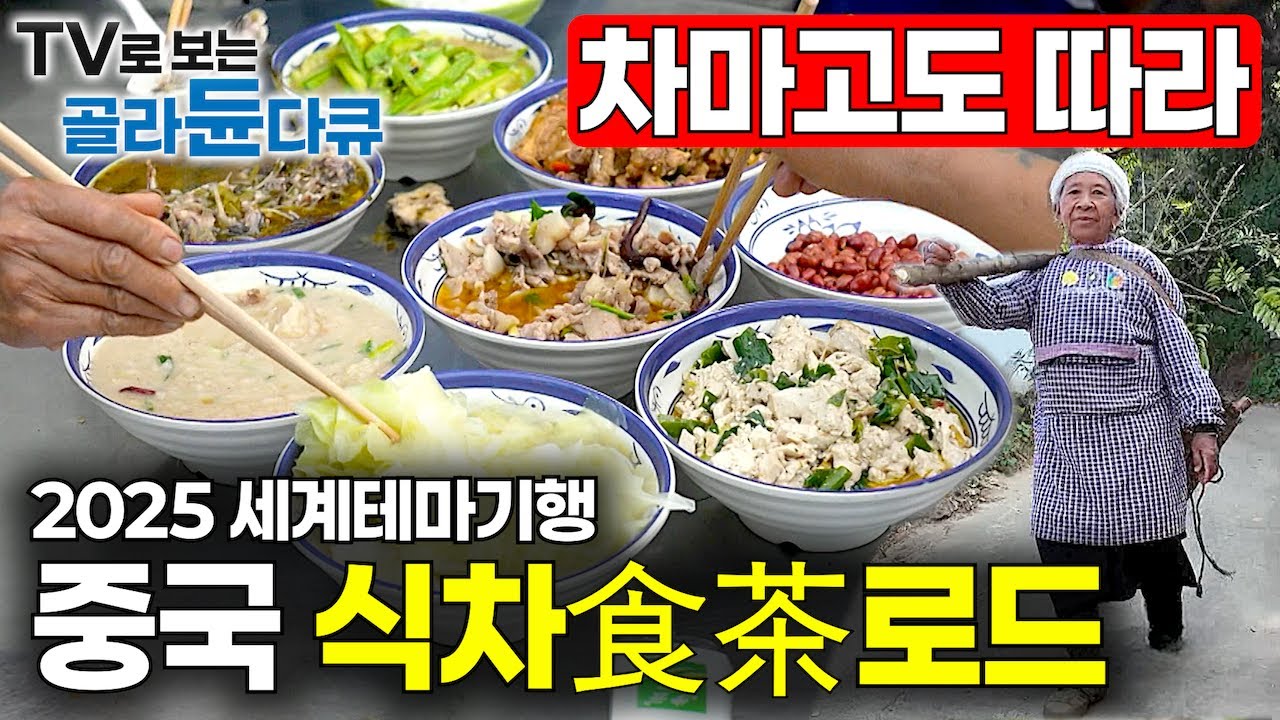 ✨2025년 최신 세계테마기행✨인류 역사상 가장 오래된 교역로를 따라 소수민족의 음식을 찾아 떠나는 여행!｜차마고도 중국 식차로드｜세계 여행｜세계테마기행｜#골라듄다큐