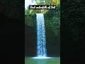 Best Of Bali Tibumana Waterfall Travel Bali Waterfall Nature Vacation Shorts Series