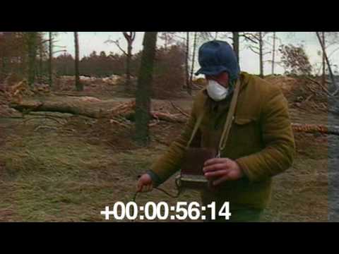 Červený les. Černobylská havárie.1986.