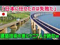 【海外の反応】「橋が揺れる!?日本の建築は偽物だw」日本と中国がケニアで作った橋の差に現地民が絶句...【俺たちJAPAN】