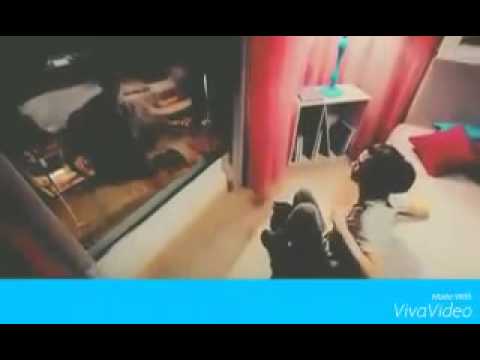 ذل مو كافي ذل