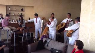 Video thumbnail of "Amigos "Querreque" Jarochos"