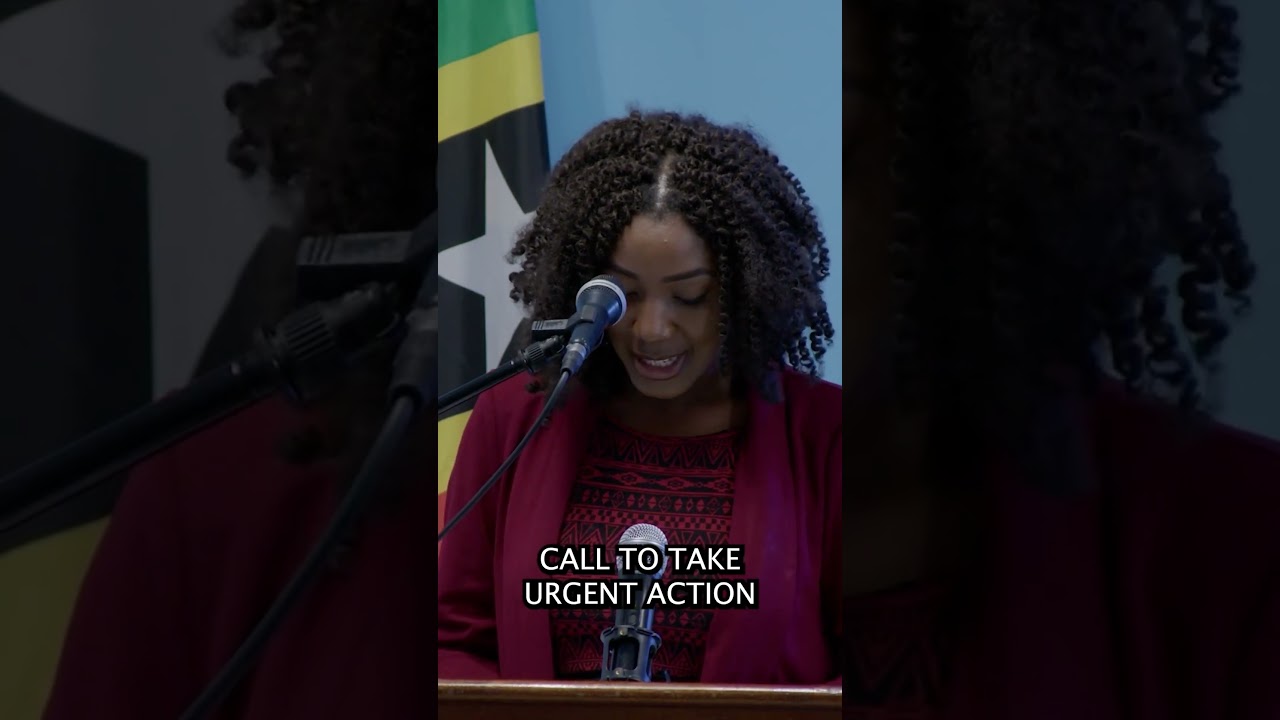 Caribbean Center of Excellence Launch | A Milestone for Renewable Energy