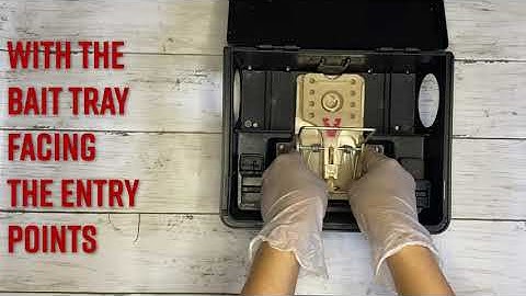 How to use Deadfast Rat and Mouse Bait Station