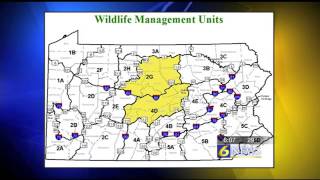 Less deer in Centre County due to management%2