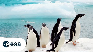 Cryo2ice for better measurements of ice, snow and polar oceans