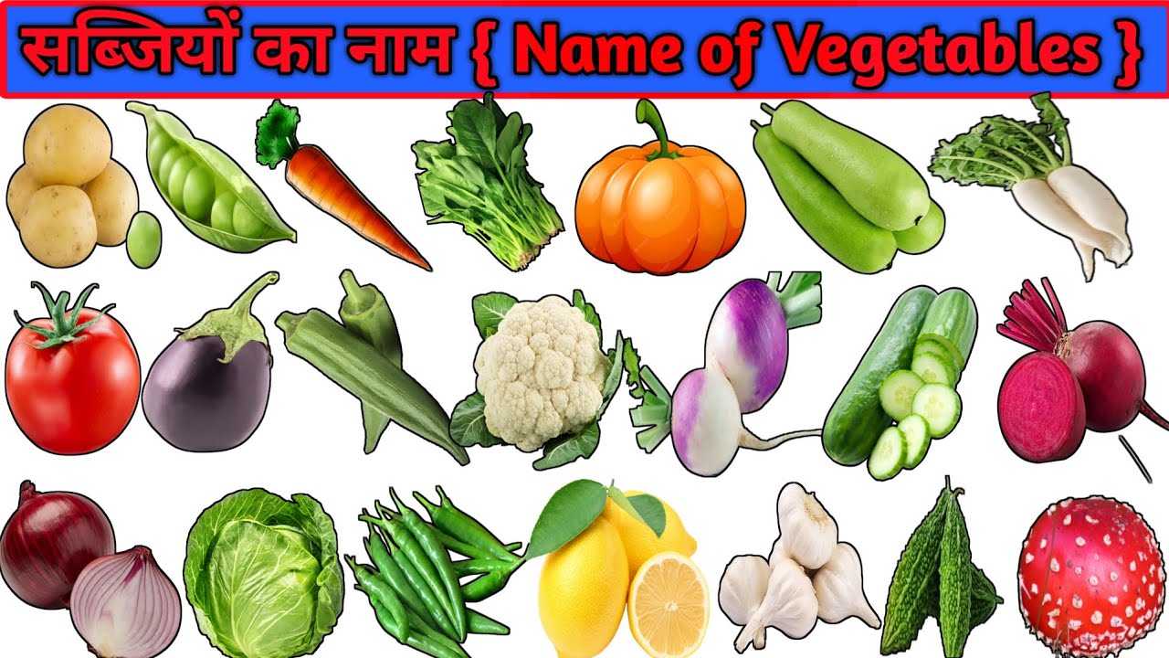vegetables name vegetables name hindi to english सब्जीयो का नाम