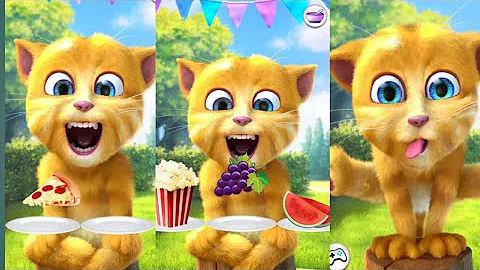 Video 4604761: talking ginger funny, cartoon talking, cat