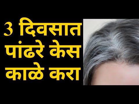 तीन दिन पांढरे कास का करण्याचे घरगुती उपाय | सफेद बाल काले बालों को छुपाने का घरेलू उपाय