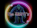 Sportcats misfits show  timewarping misfits a journey to the 80s