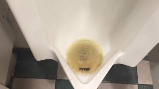 483. Big Pecker’s Bar & Grill Men's Restroom