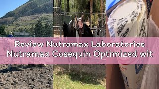 Review Nutramax Laboratories Nutramax Cosequin Optimized with MSM Joint Health Supplement for Horses
