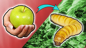 Kann man Äpfel mit Wurm noch essen?