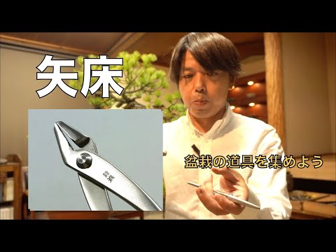 盆栽道具] ヤットコの選び方 - YouTube