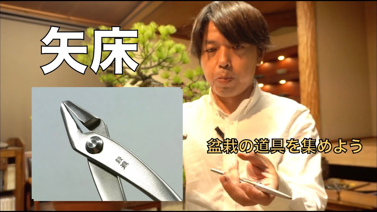 盆栽道具] ヤットコの選び方 - YouTube