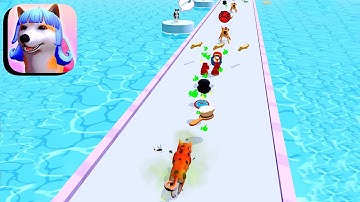 Groomer run 3D - All Levels Gameplay Android,ios (Levels 8-9)