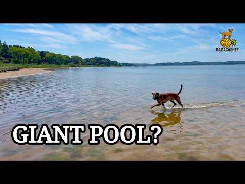 Video thumbnail: Portugal's Giant Dog Pool: Foz do Arelho & Lagoa de Obidos!