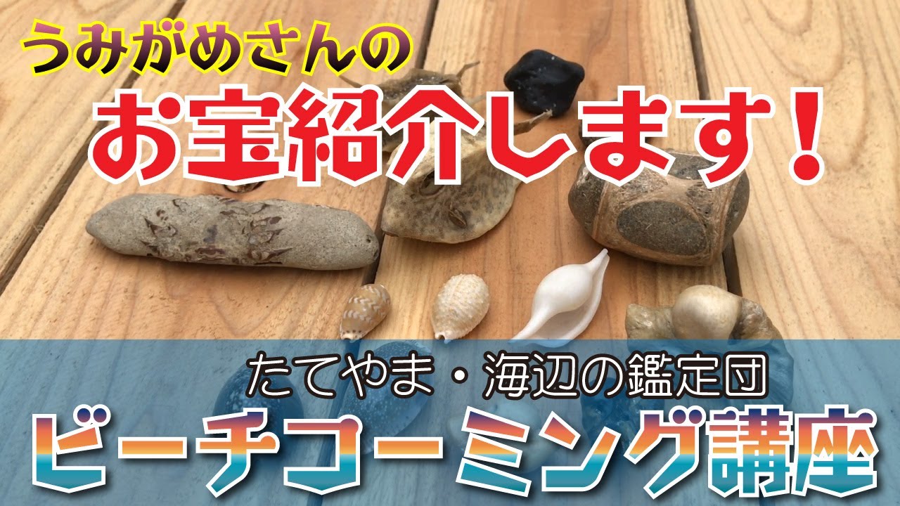 海岸でお宝を発見！ビーチコーミング講座（お宝紹介編）うみがめさん