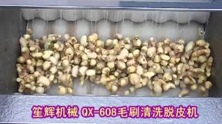 Fresh Ginger Washing and Peeling Machine