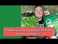 Огород на окне//Плюсы зимнего урожая!😍👍🍅🥬🥒