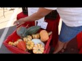 Farmers' Market Tips: How to Cook and Eat Squash