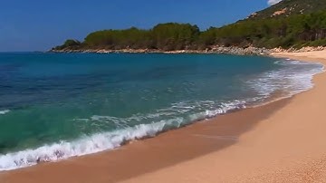 تلاوة سورة الفاتحة وسورة الواقعة بصوت القاري يحي عبدالحفيظ البخاري