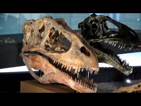 Fukui Prefectural Dinosaur Museum 福井県立恐竜博物館