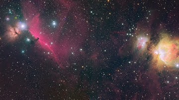 Horsehead & Orion Nebula