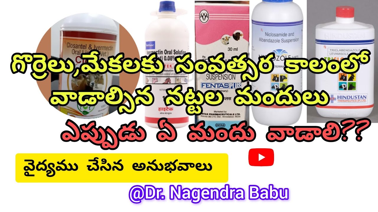 deworming-medicine-for-sheep-in-telugu