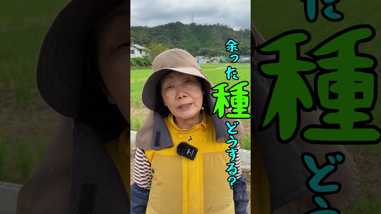 ひろちゃん農園【公式切り抜き】 - YouTube