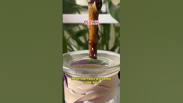 Propagating a Fiddle Leaf Fig  in water for 8 weeks (RESULTS!)