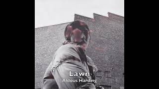 Aldous Harding “Lawn”