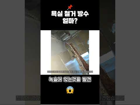 #분당 #위브제니스 #욕실 #철거 #방수 얼마