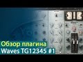 Подробный обзор плагина Waves TG12345. Часть 1. Теория [Yorshoff Mix]