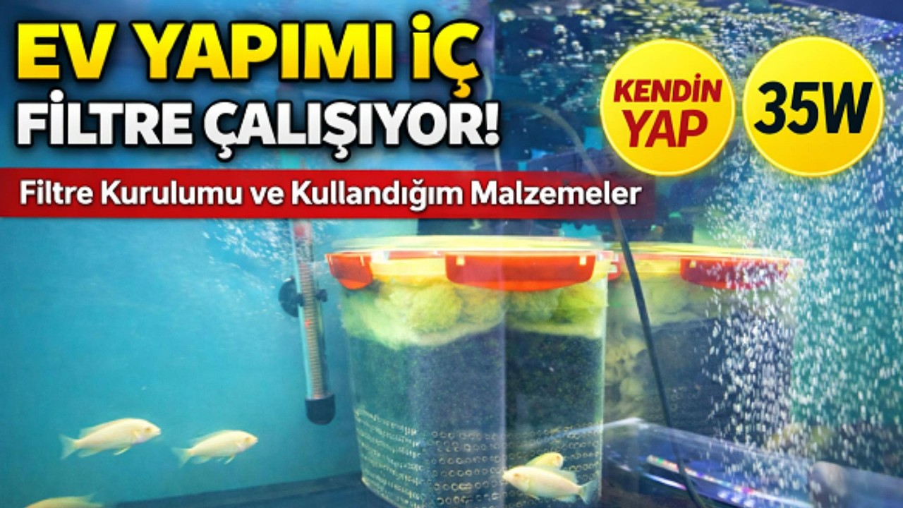 DIY Akvaryum İç Filtre Yapımı ! Filtre Kurulumu ve Kullandığım Malzemeler #ciklet #fish  #içfiltre