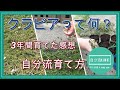 クラピアって何？3年間の自分流育て方【庭 #1】
