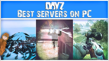 The BEST PC Servers You NEED TO PLAY Now! | DayZ