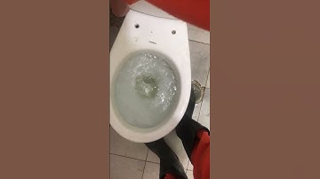 Bồn cầu bị tắc