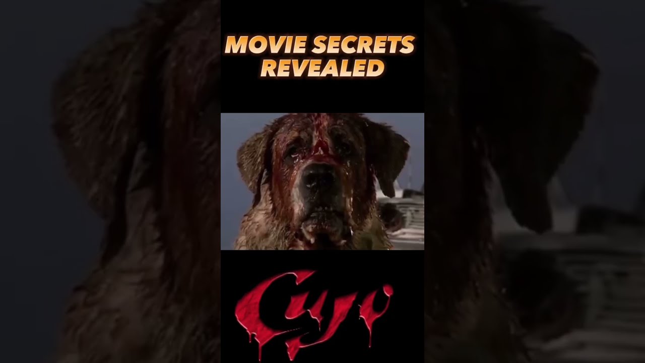 Cujo (2025) Review – A Modern Revival of Stephen King’s Rabid Nightmare