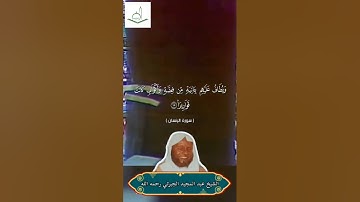 سورة الإنسان الشيخ عبدالمجيد الجبرتي رحمه الله