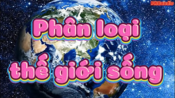 KHTN 6 (Sinh học) - Phân loại thế giới sống - Hệ thống phân loại sinh vật - biology video - PNCaudio